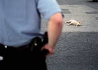 Officer views body of dog in parking lot of Antioch Haven Homes, Chicago, Illinois, 2000 thumbnail