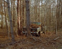 Car in Woods, William Faulkner Memorial Highway, Mississippi, 2018 thumbnail