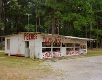 Fruit Stand, Highway 441, Georgia, 2018 thumbnail