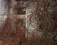 Winter Branches, Germantown, New York, 2016 thumbnail