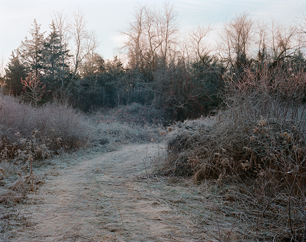 Winter Path, Livingston, New York, 2016