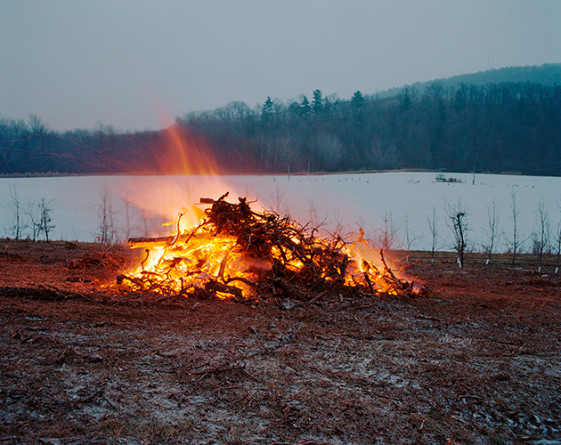 Orchard Burning, Livingston, New York, 2016