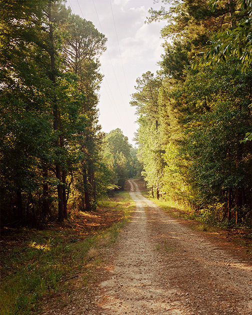 Driveway, Wards Chapel Road, Eatonton, Georgia, 2020