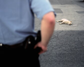 Officer views body of dog in parking lot of Antioch Haven Homes, Chicago, Illinois, 2000